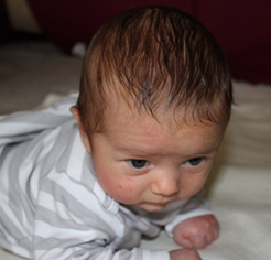 dítě se zvedá na rukou, pase koníčky